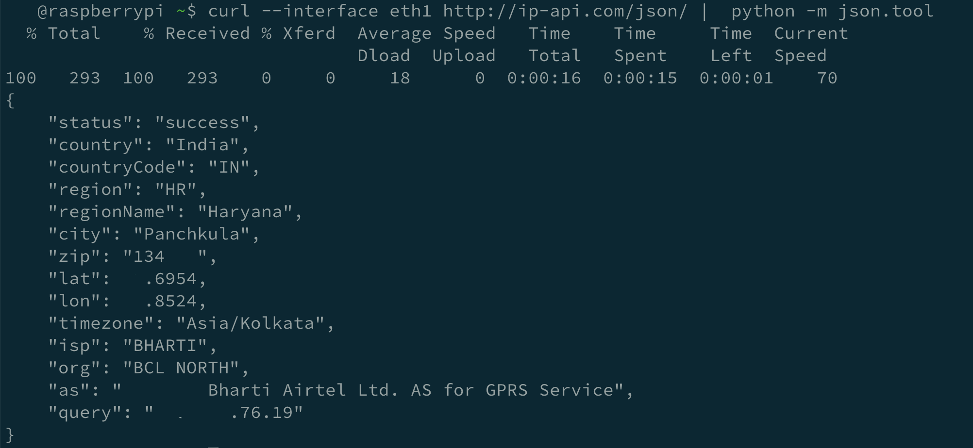 eth1 ipinfo output