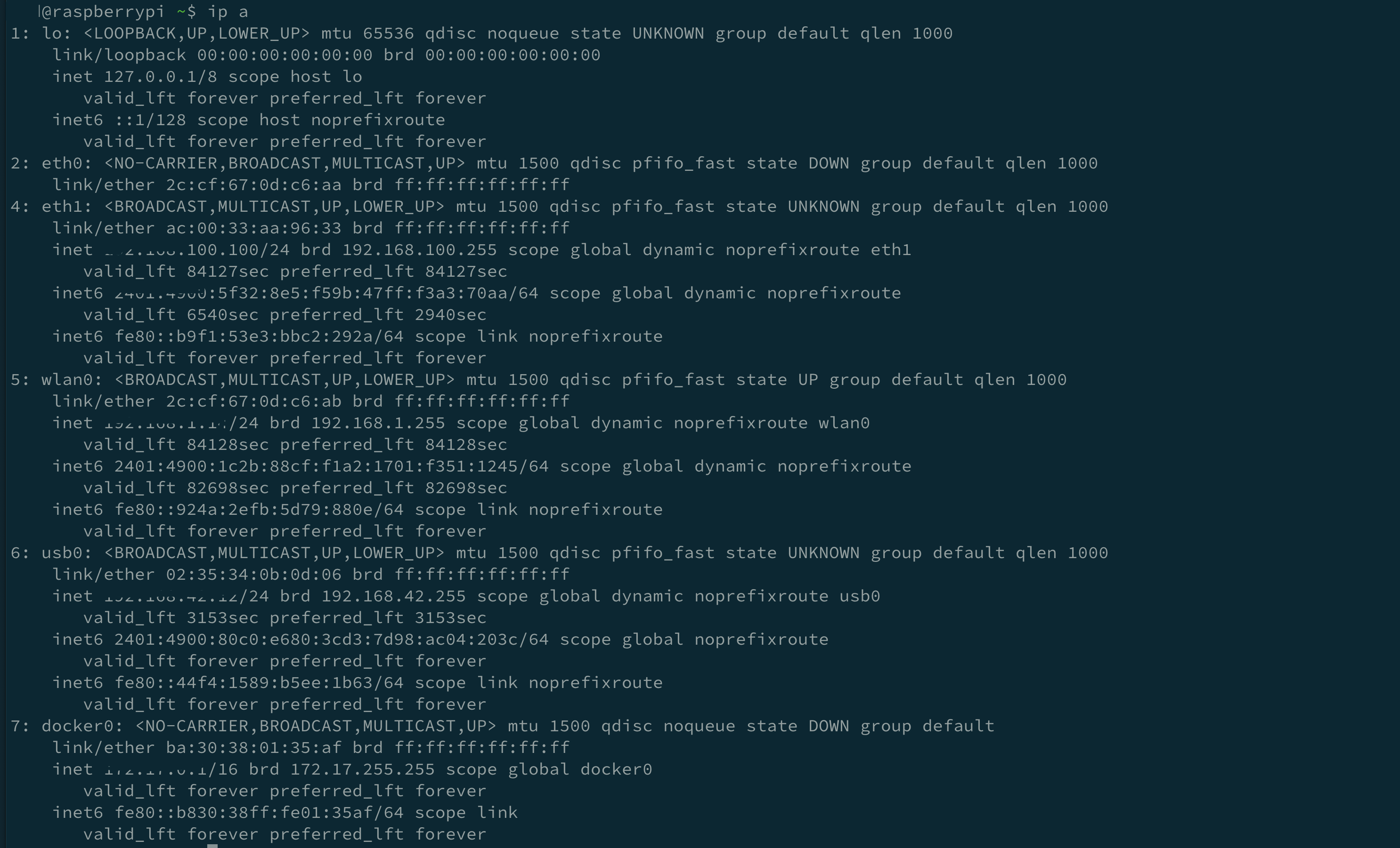 ip a output