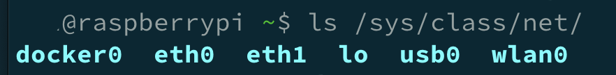 sys/class/net output