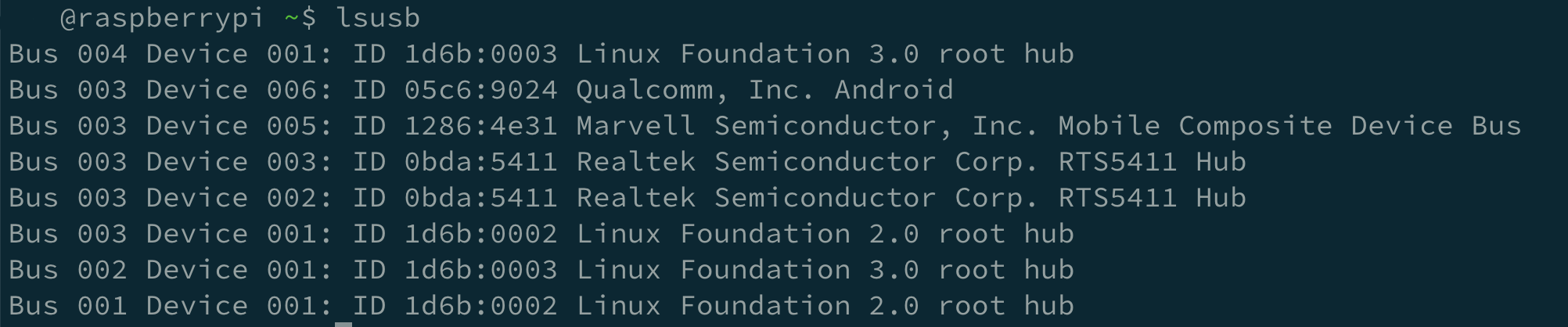 lsusb output