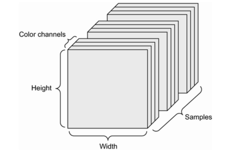 Rank 4 image data tensor